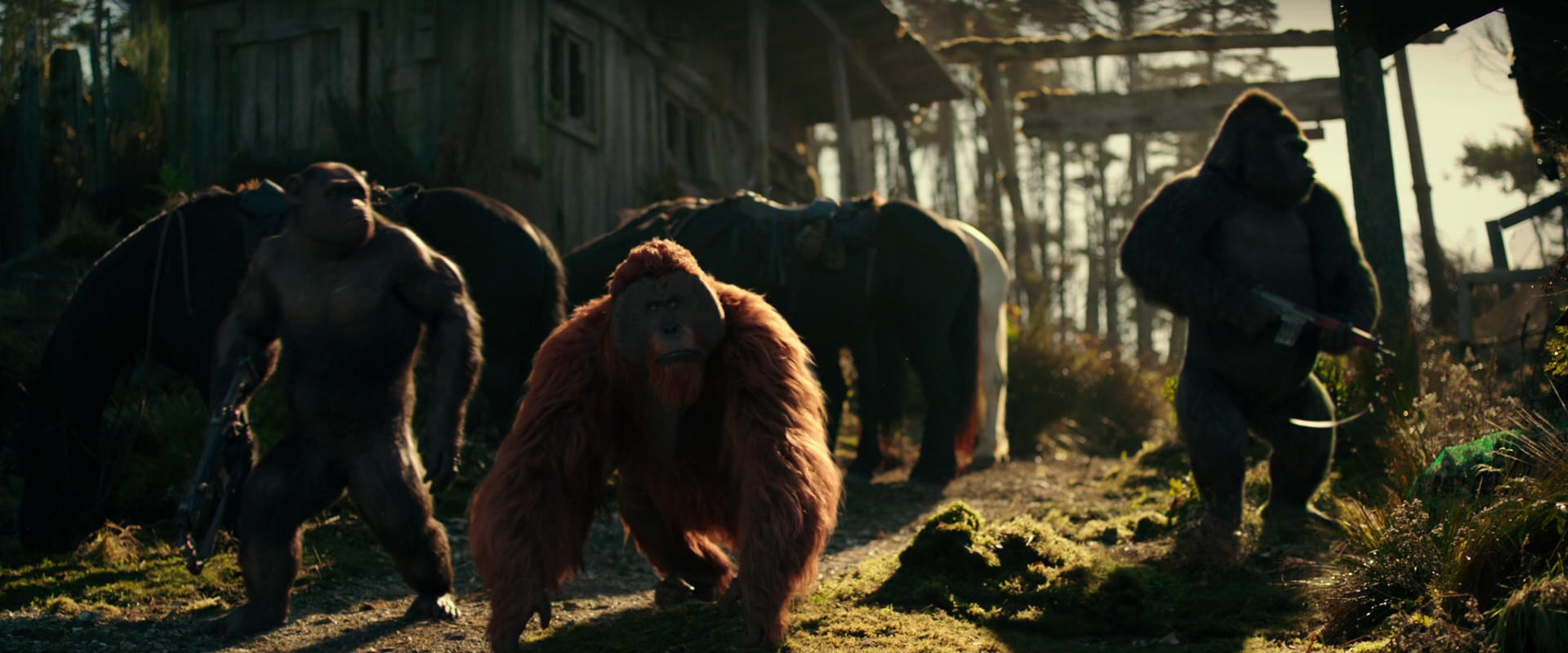 War for the Planet of the Apes (2017) screencap 3264