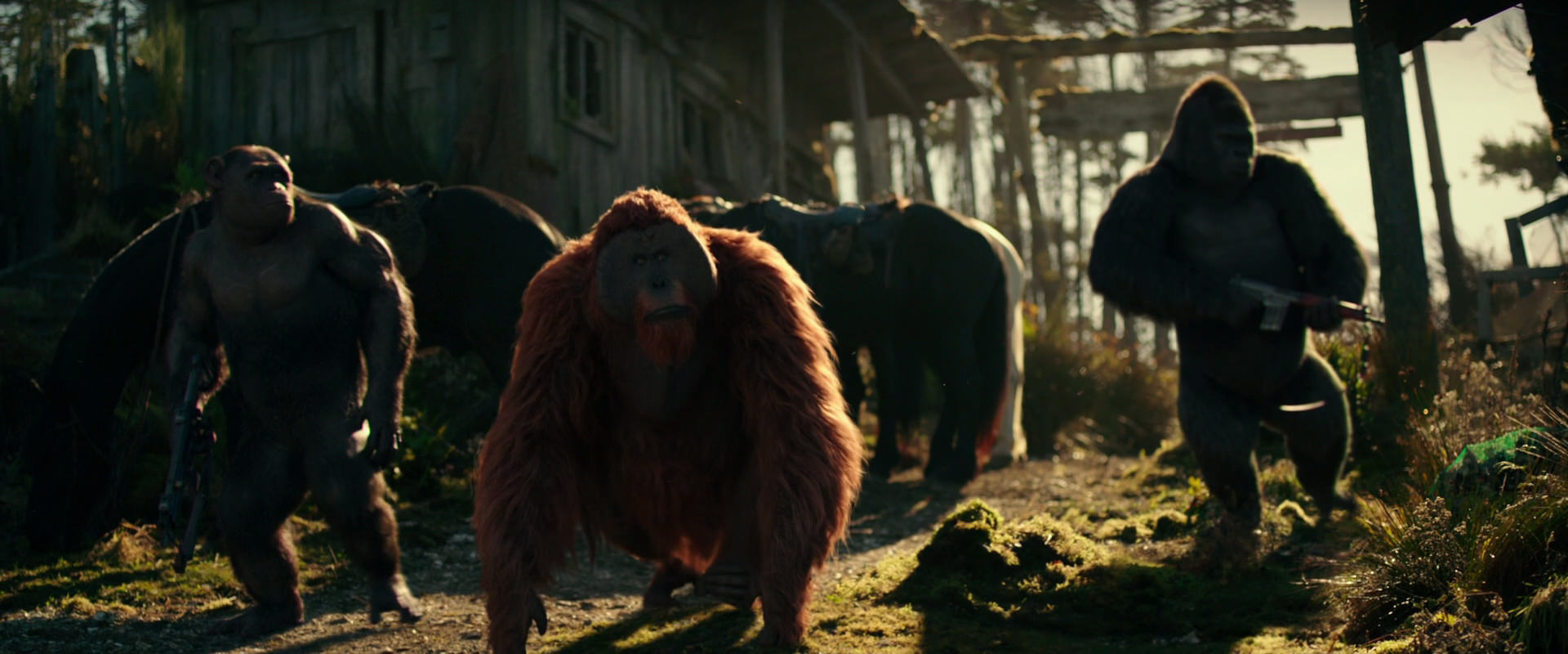 War for the Planet of the Apes (2017) movie still 3265