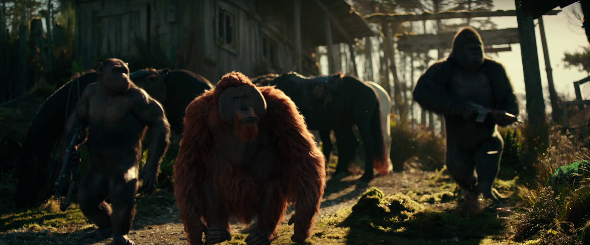 War for the Planet of the Apes (2017) HD screenshot 3266