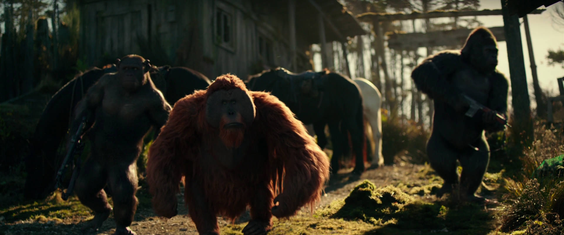 War for the Planet of the Apes (2017) screencap 3267