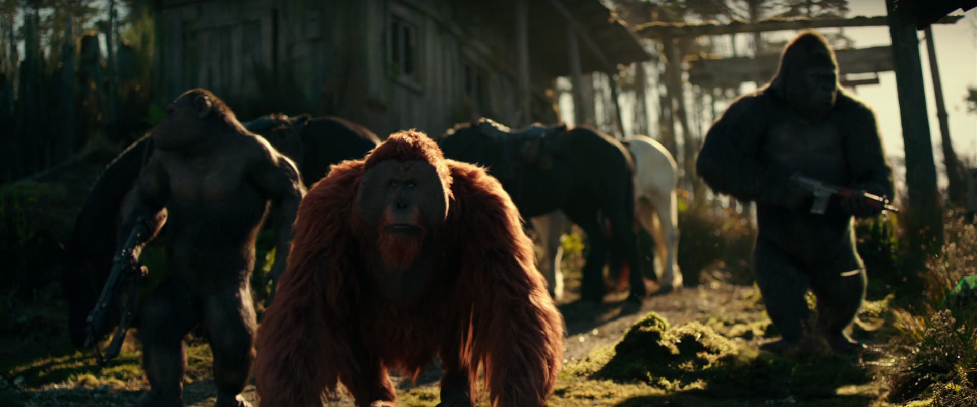 War for the Planet of the Apes (2017) movie still 3268