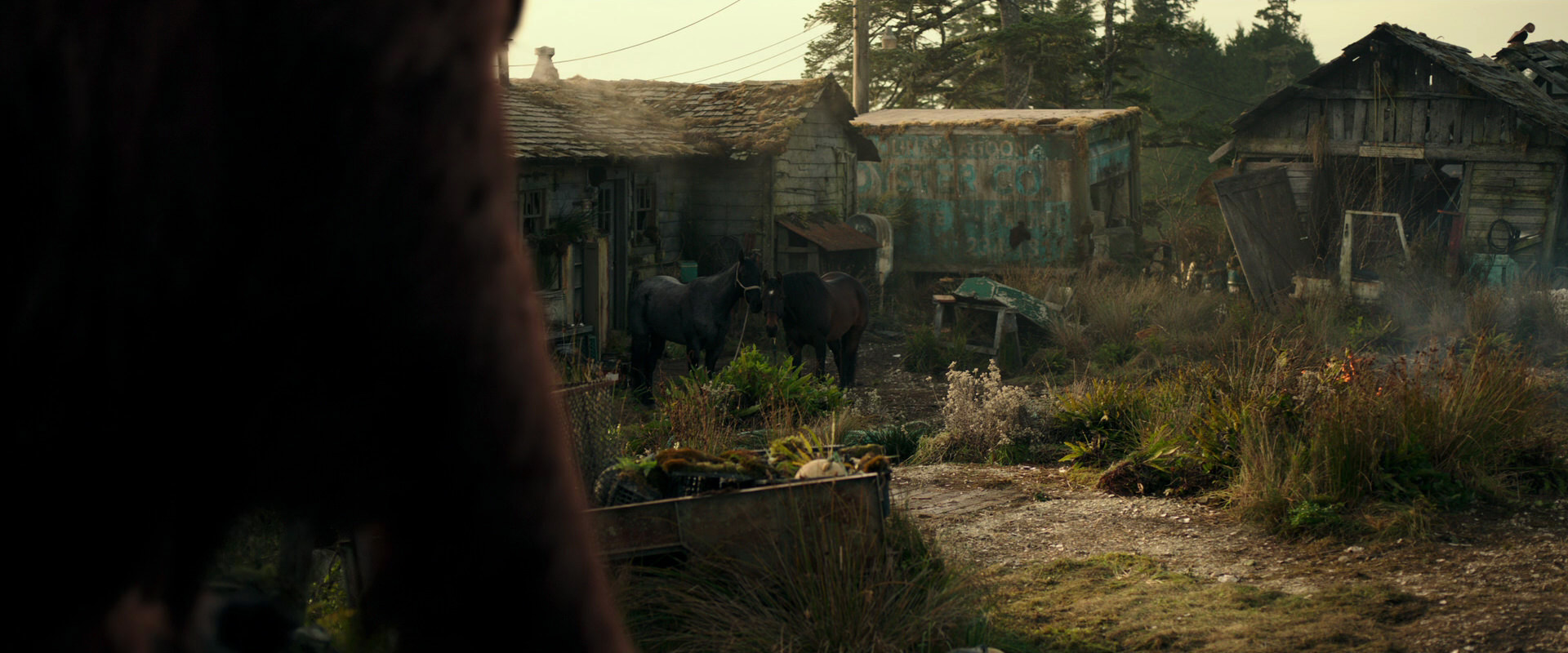 War for the Planet of the Apes (2017) HD screenshot 3269