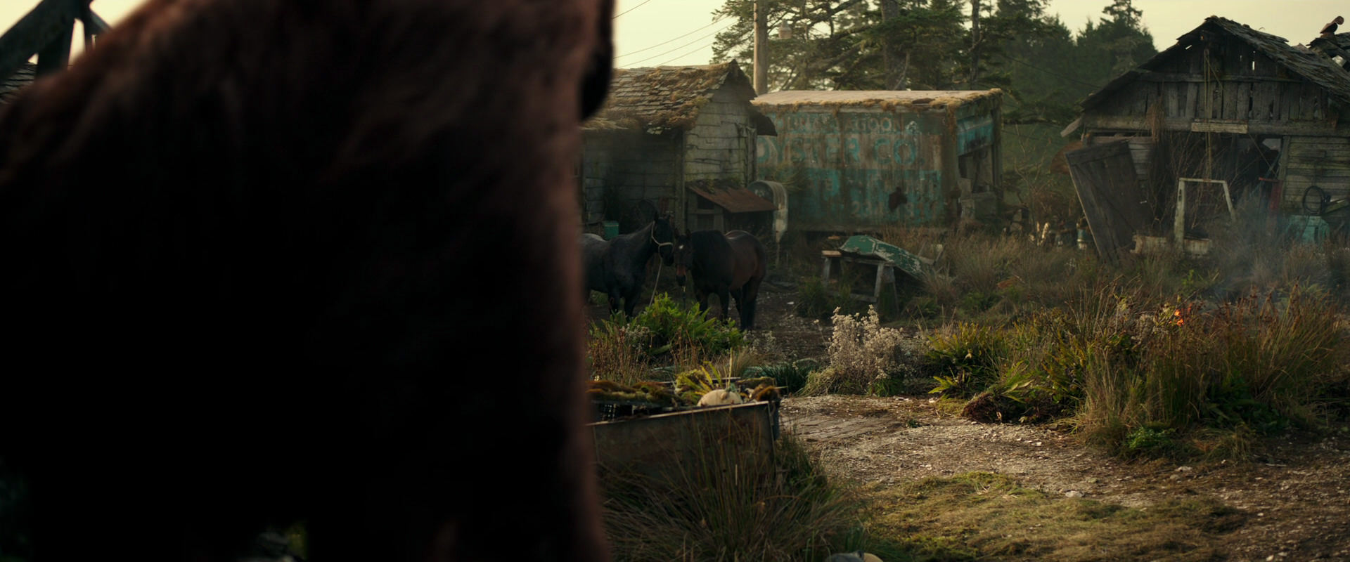 War for the Planet of the Apes (2017) screencap 3270