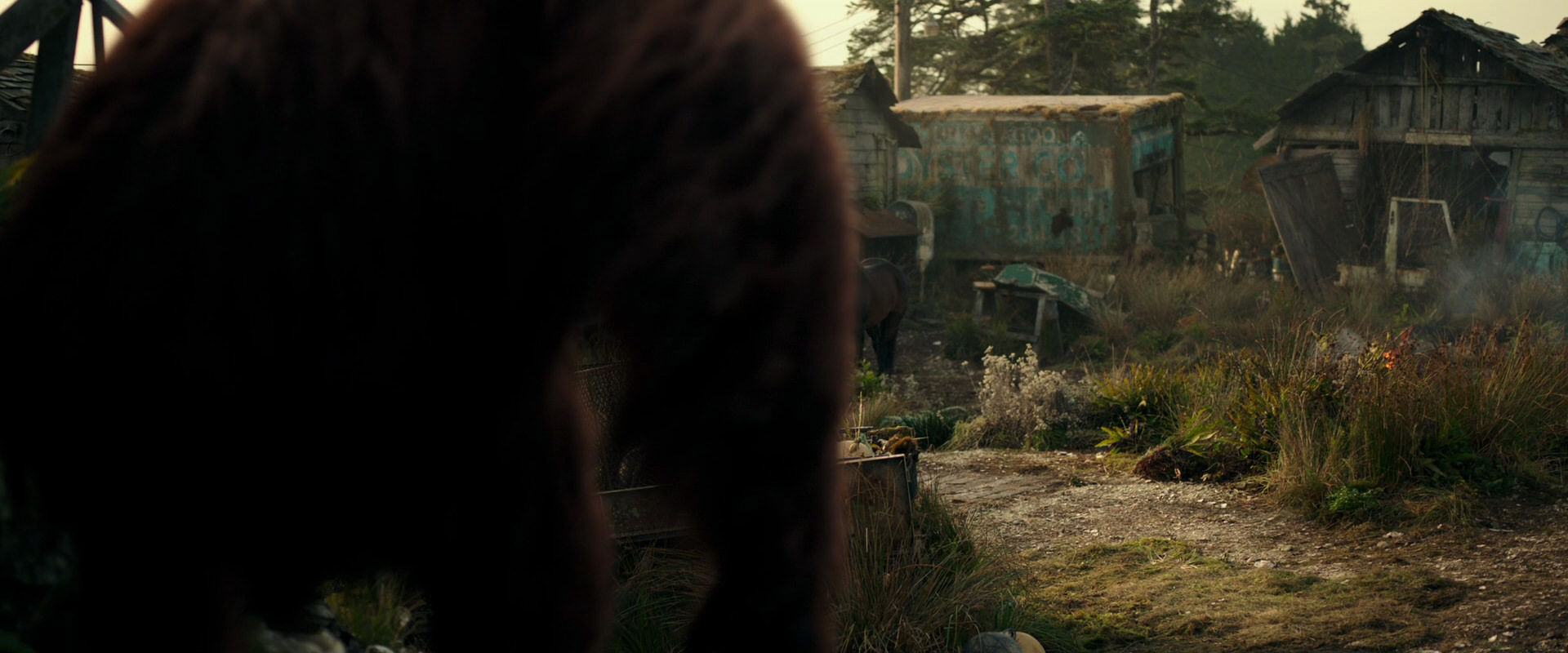 War for the Planet of the Apes (2017) movie still 3271