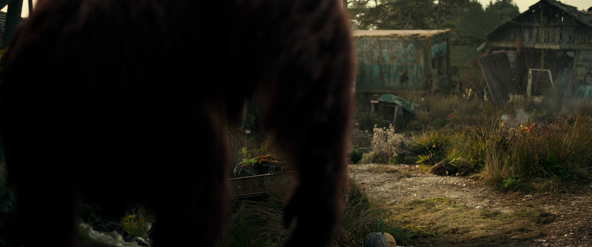 War for the Planet of the Apes (2017) HD screenshot 3272