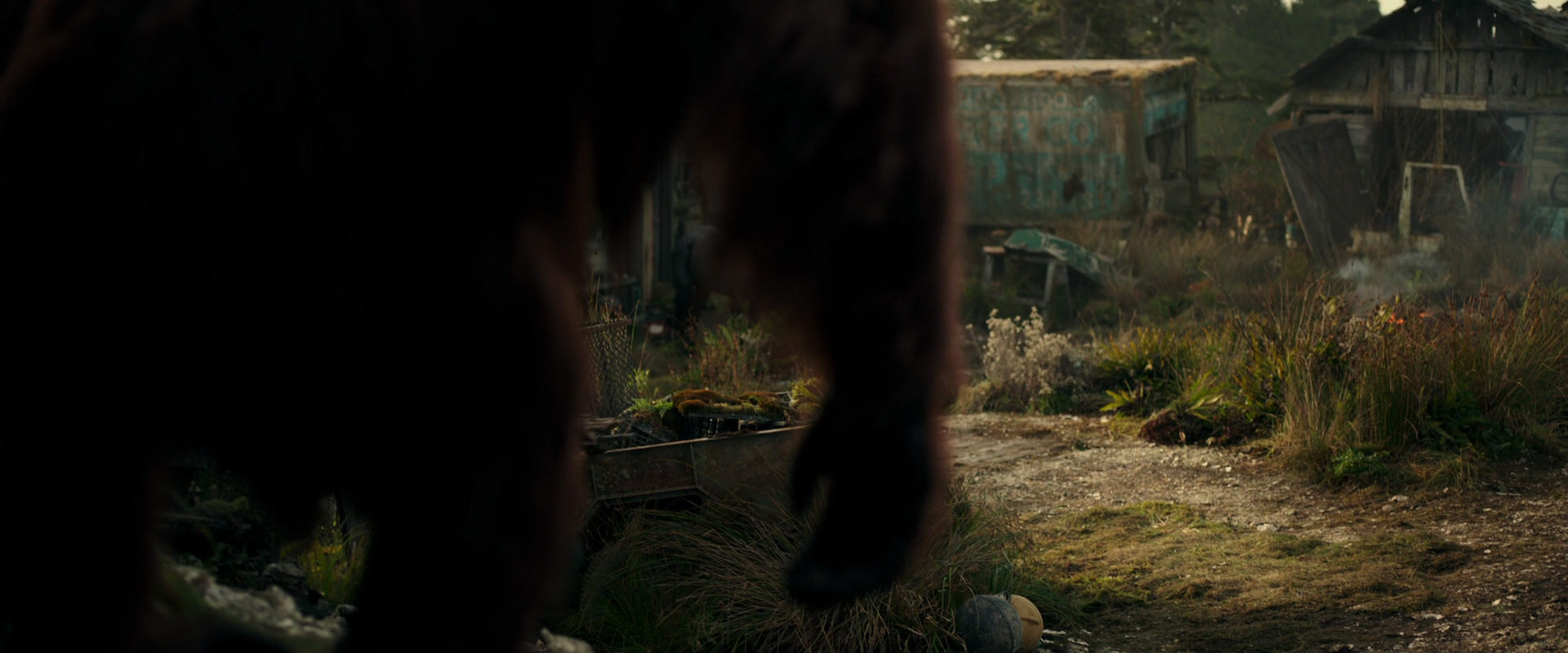 War for the Planet of the Apes (2017) screencap 3273