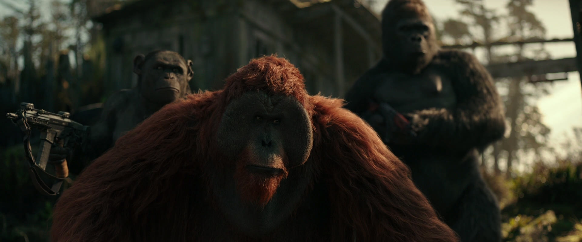 War for the Planet of the Apes (2017) screencap 3288