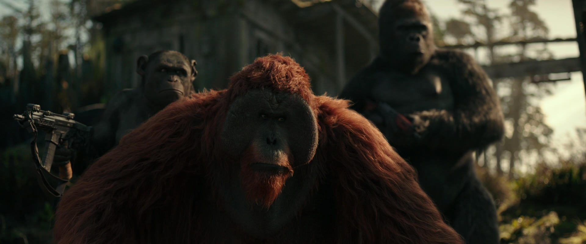 War for the Planet of the Apes (2017) movie still 3289