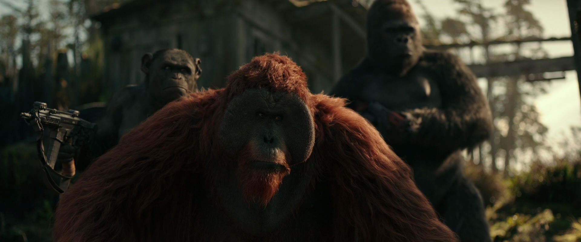 War for the Planet of the Apes (2017) HD screenshot 3290