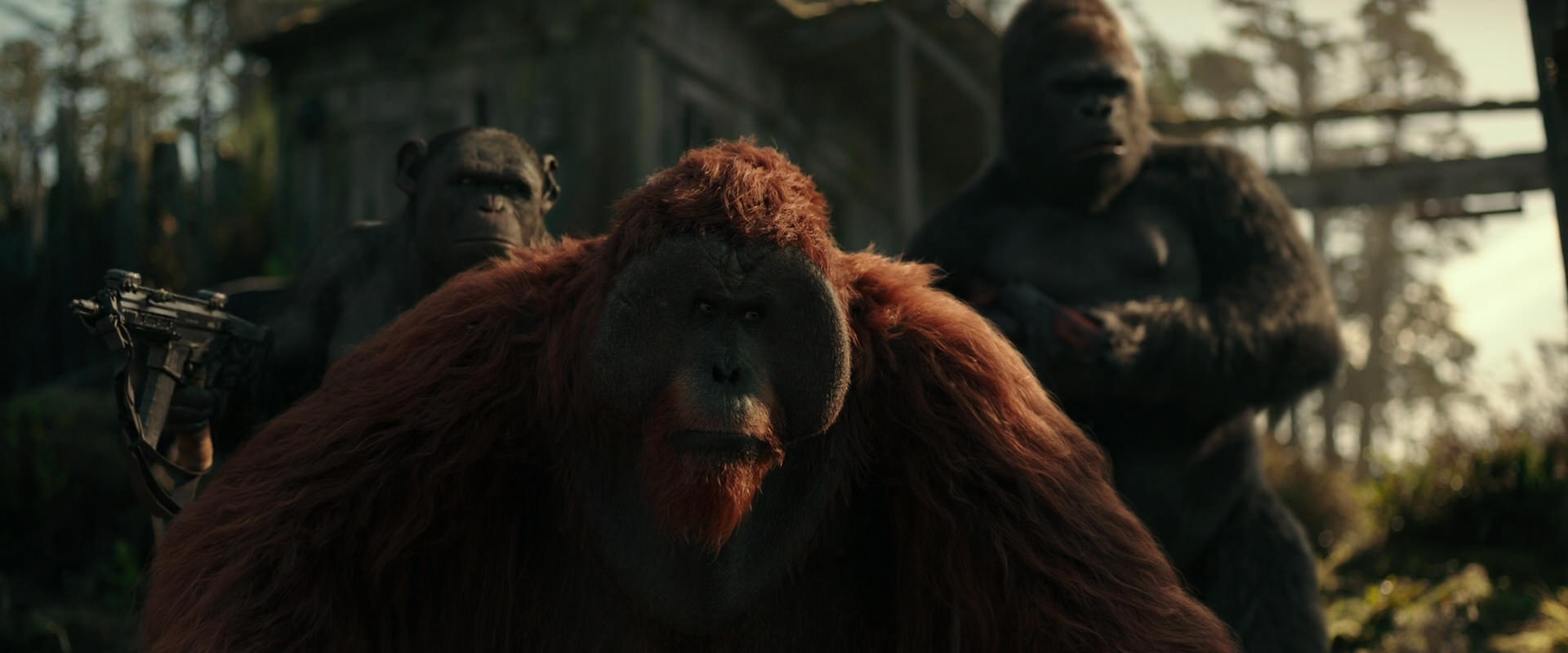 War for the Planet of the Apes (2017) screencap 3291