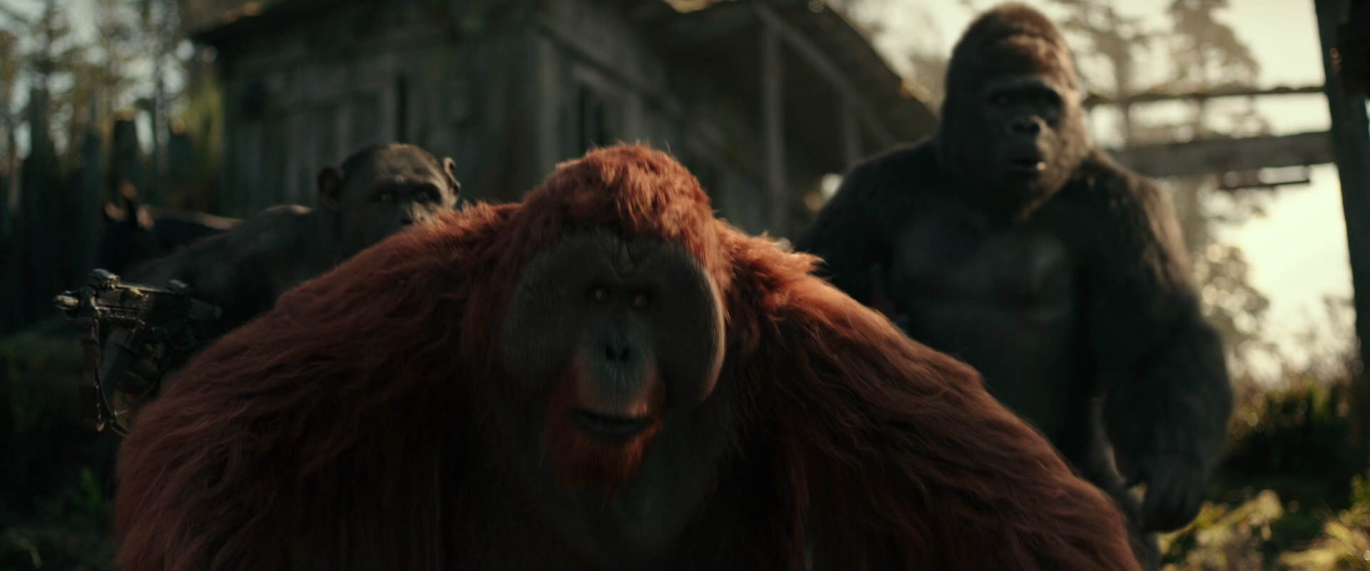 War for the Planet of the Apes (2017) screencap 3312