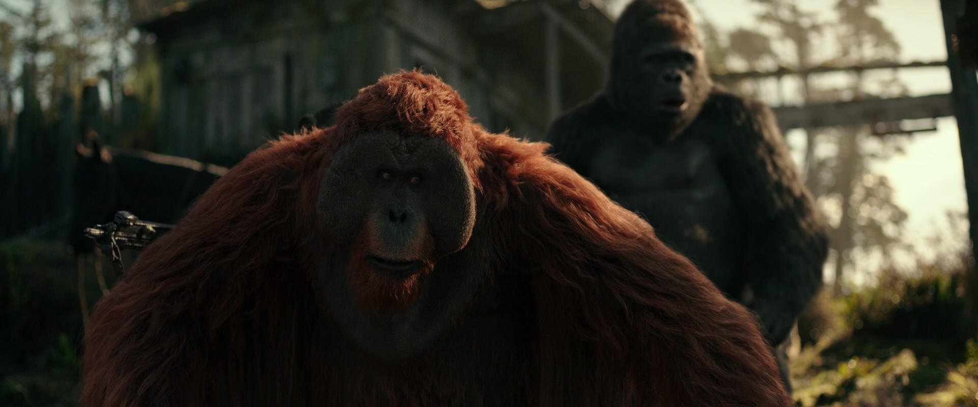 War for the Planet of the Apes (2017) movie still 3313