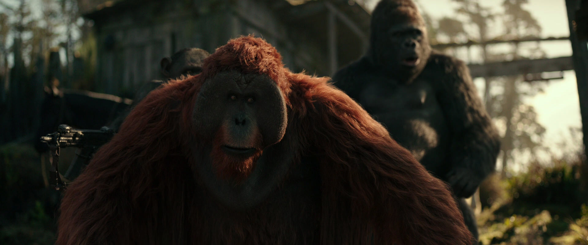 War for the Planet of the Apes (2017) HD screenshot 3314