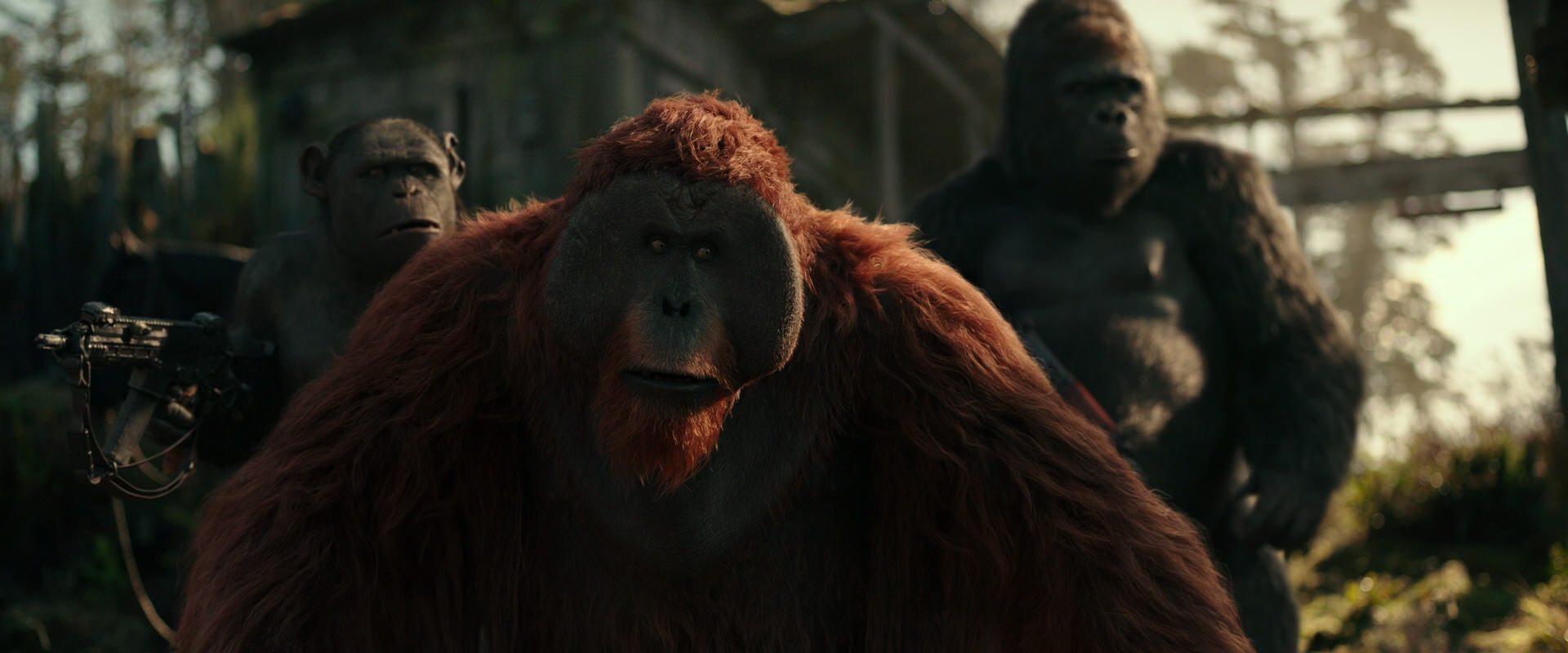 War for the Planet of the Apes (2017) HD screenshot 3317