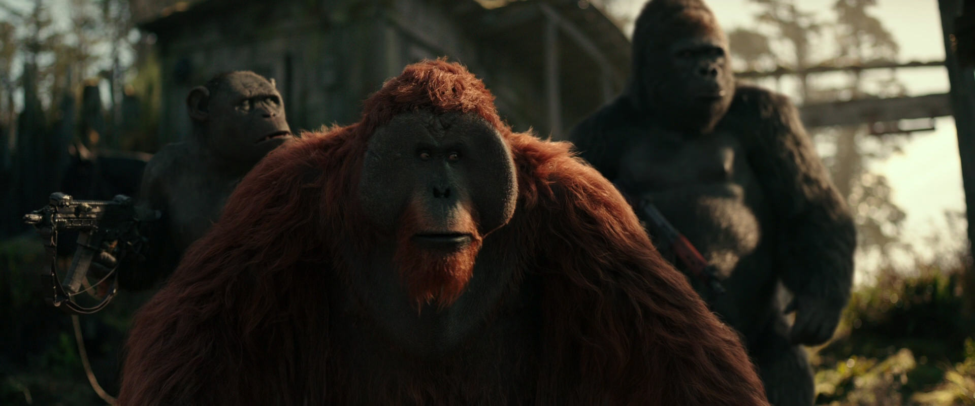 War for the Planet of the Apes (2017) movie still 3319