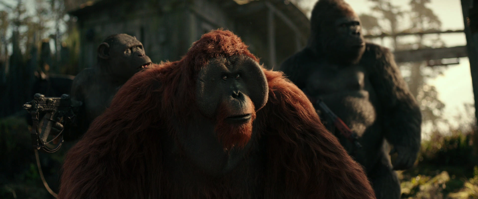 War for the Planet of the Apes (2017) HD screenshot 3320
