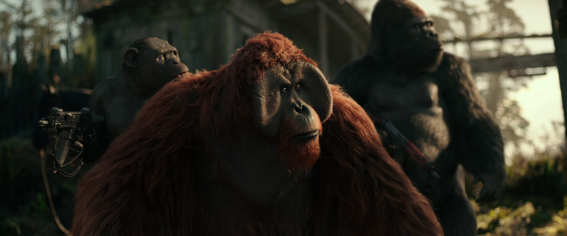 War for the Planet of the Apes (2017) screencap 3321
