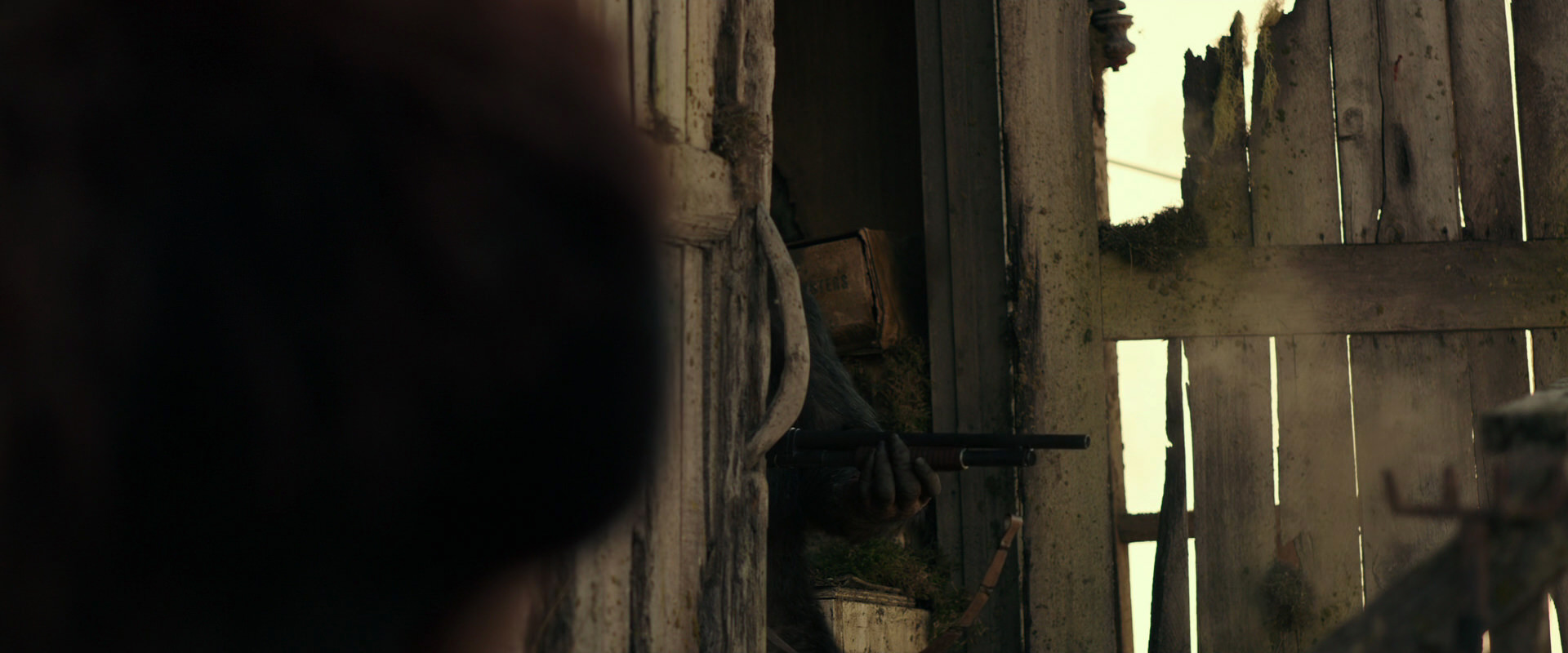 War for the Planet of the Apes (2017) HD screenshot 3323