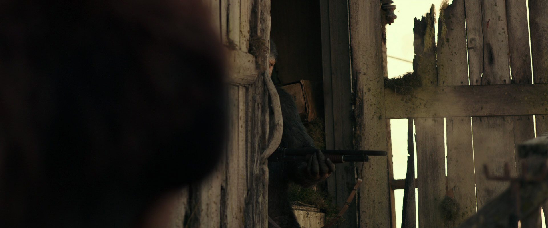 War for the Planet of the Apes (2017) screencap 3324