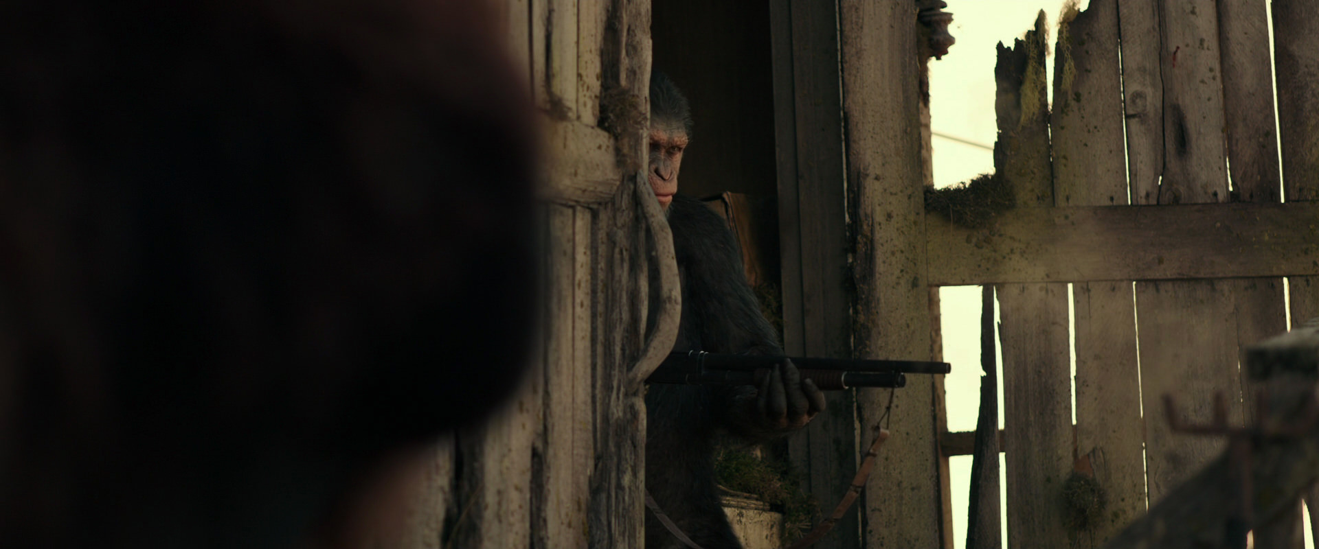 War for the Planet of the Apes (2017) movie still 3325
