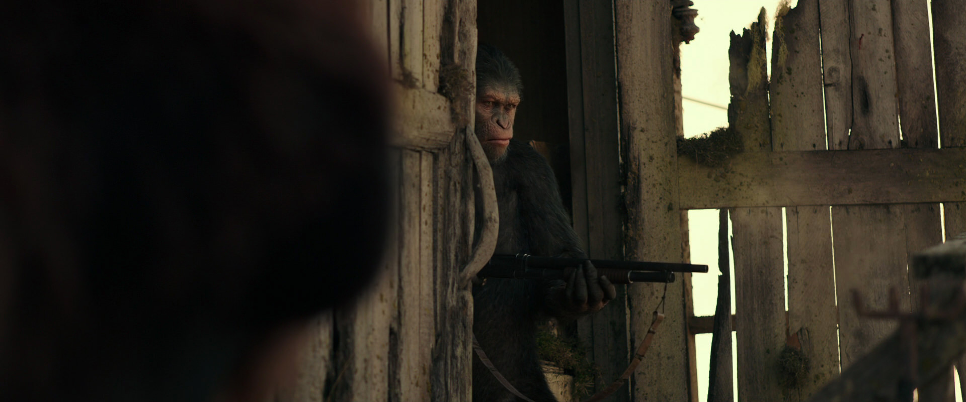 War for the Planet of the Apes (2017) HD screenshot 3326