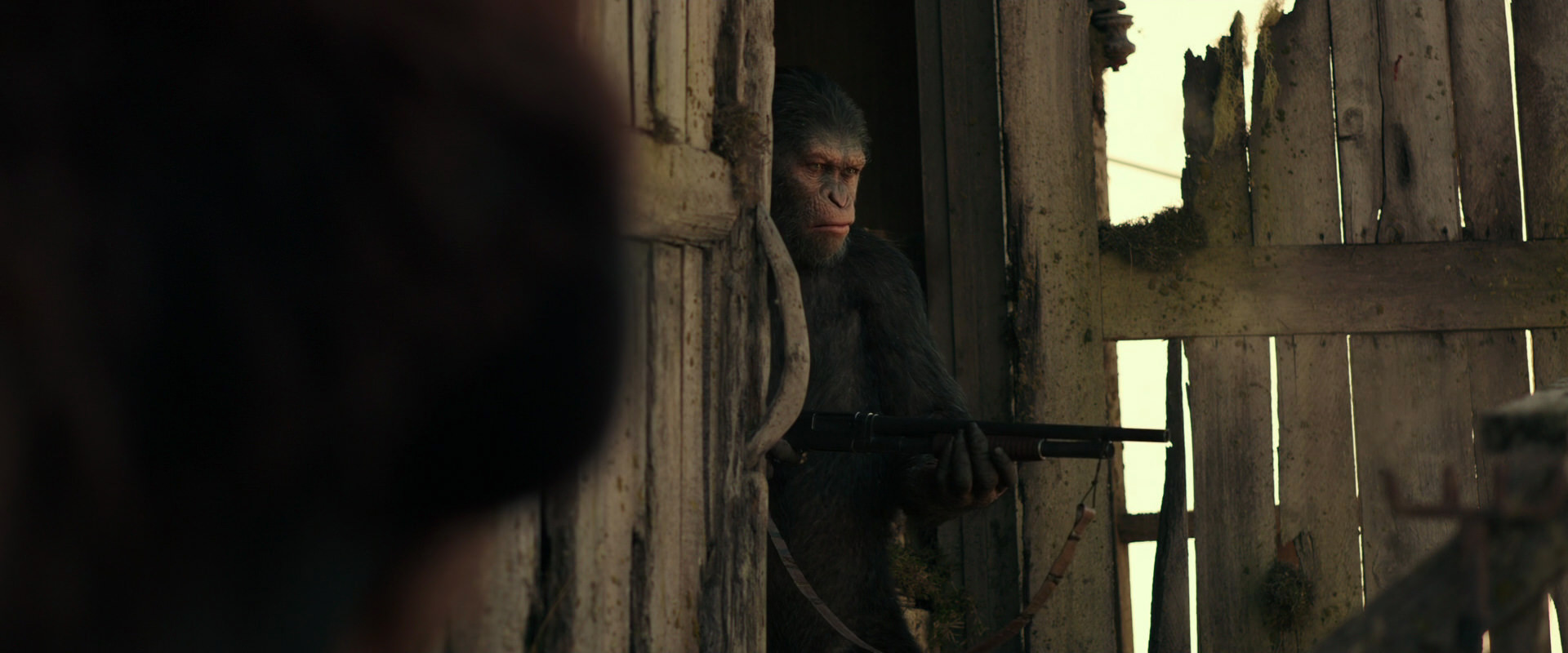 War for the Planet of the Apes (2017) screencap 3327