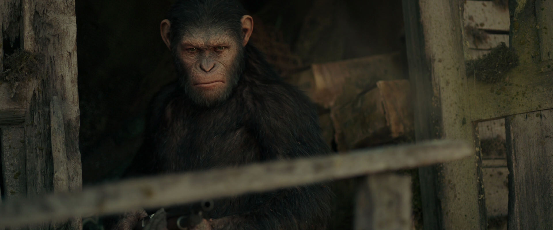War for the Planet of the Apes (2017) movie still 3328