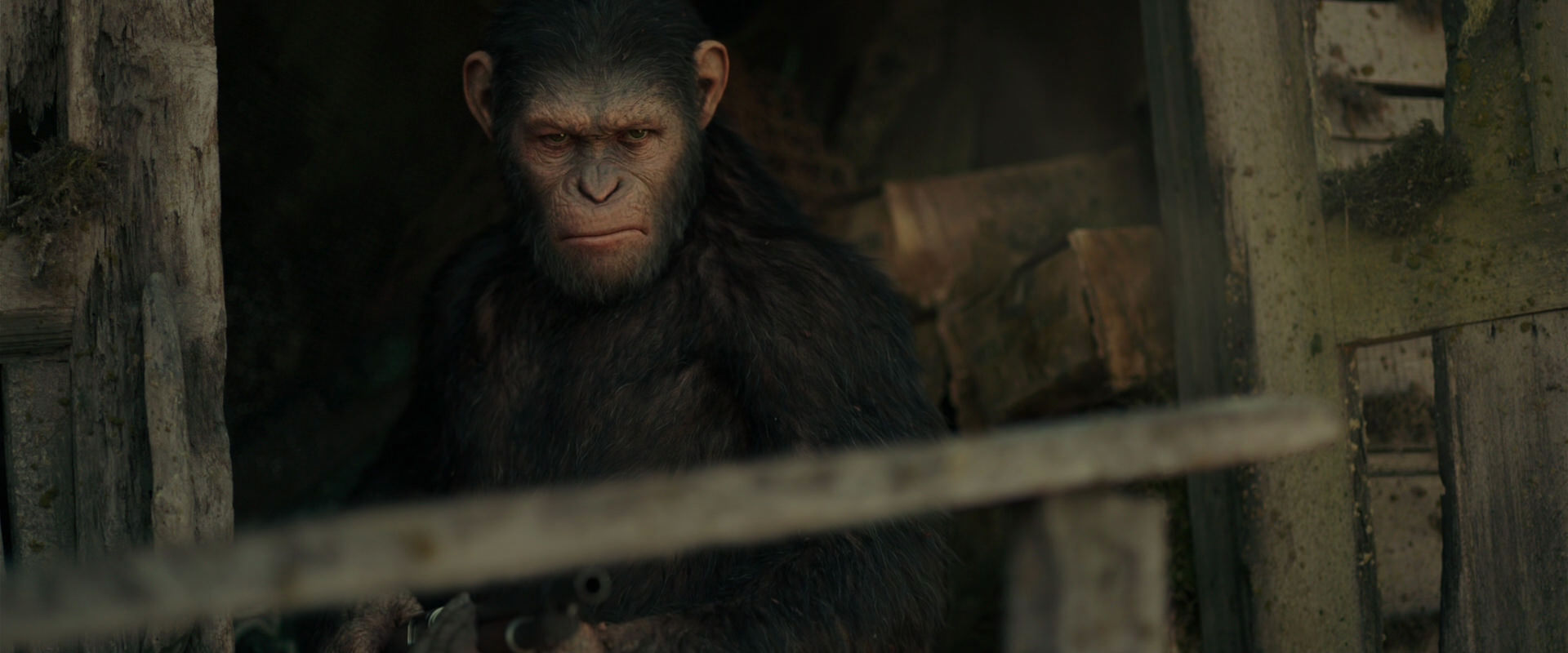 War for the Planet of the Apes (2017) HD screenshot 3329