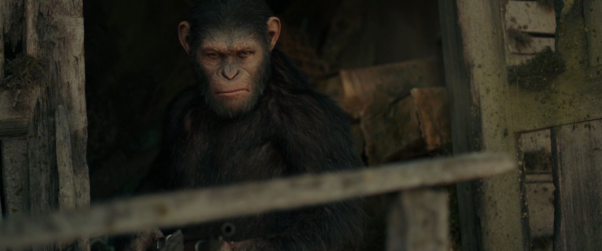 War for the Planet of the Apes (2017) screencap 3330