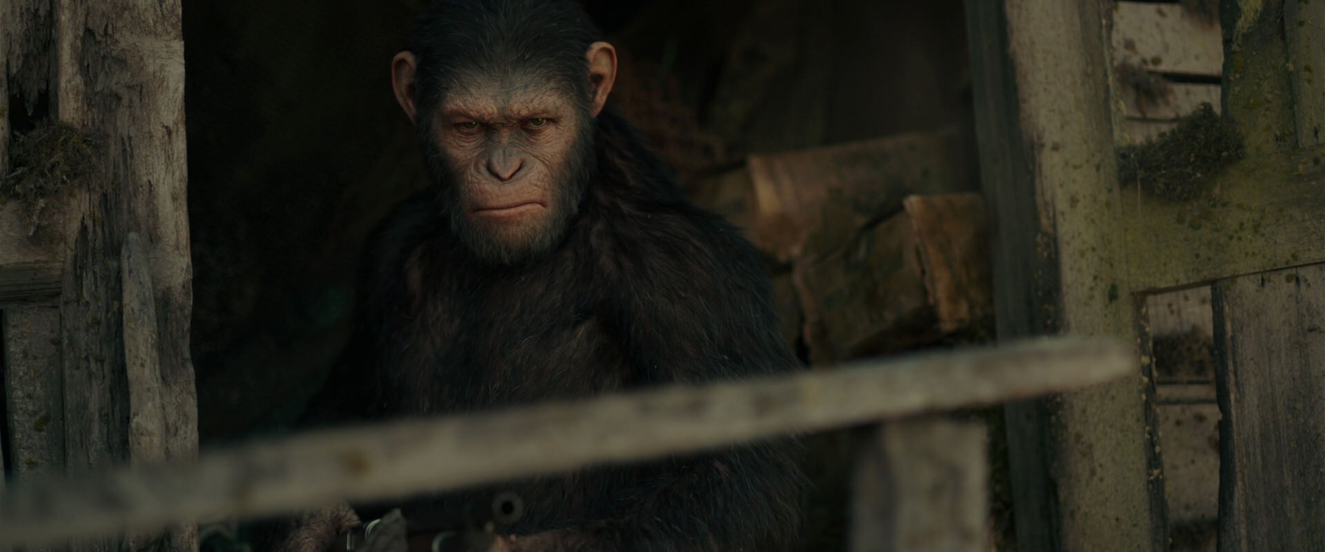 War for the Planet of the Apes (2017) movie still 3331