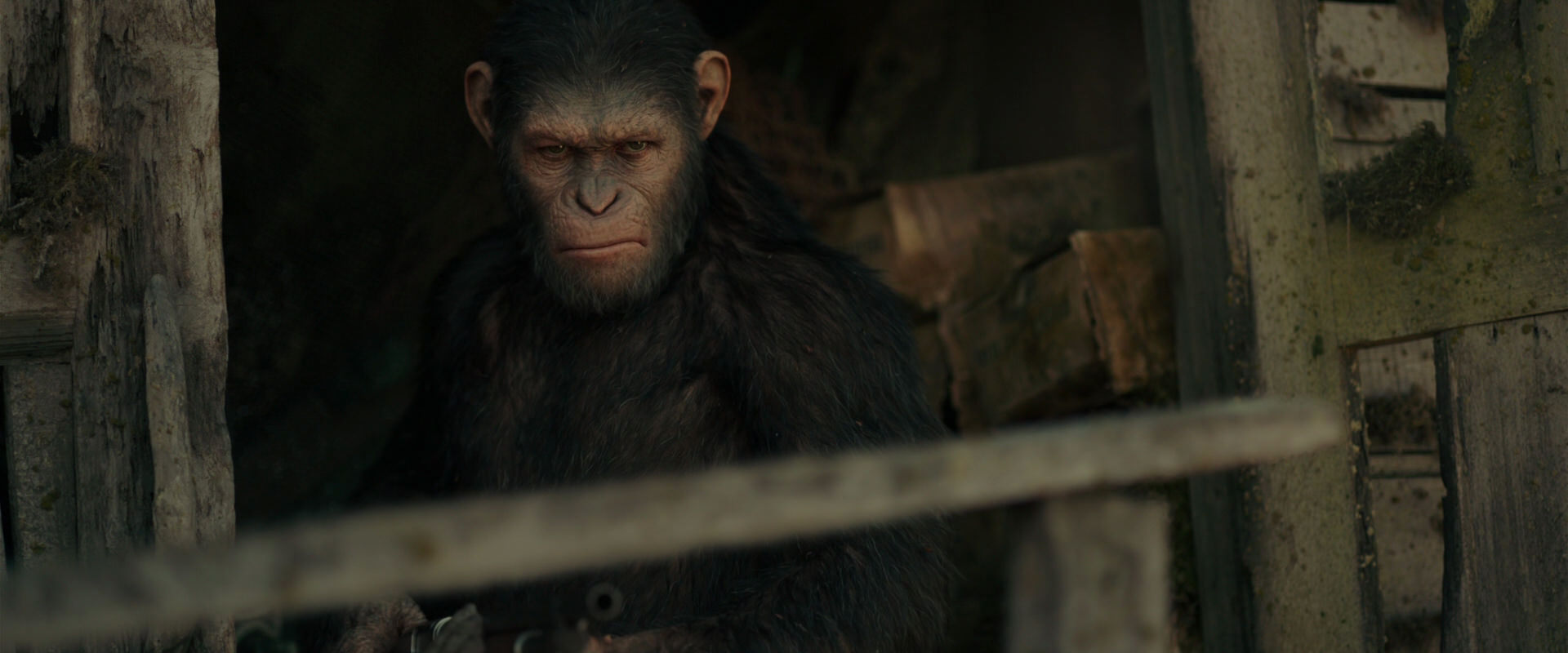 War for the Planet of the Apes (2017) HD screenshot 3332
