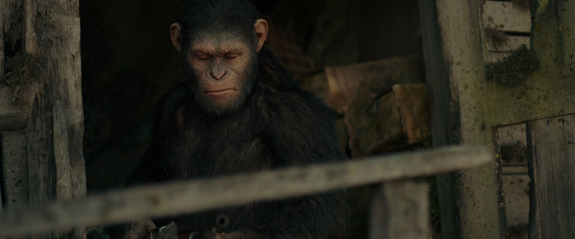 War for the Planet of the Apes (2017) screencap 3333