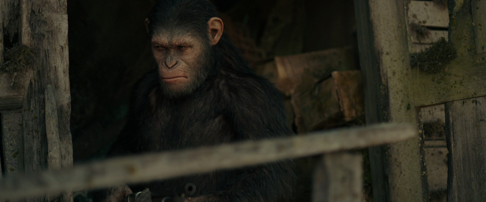 War for the Planet of the Apes (2017) HD screenshot 3335