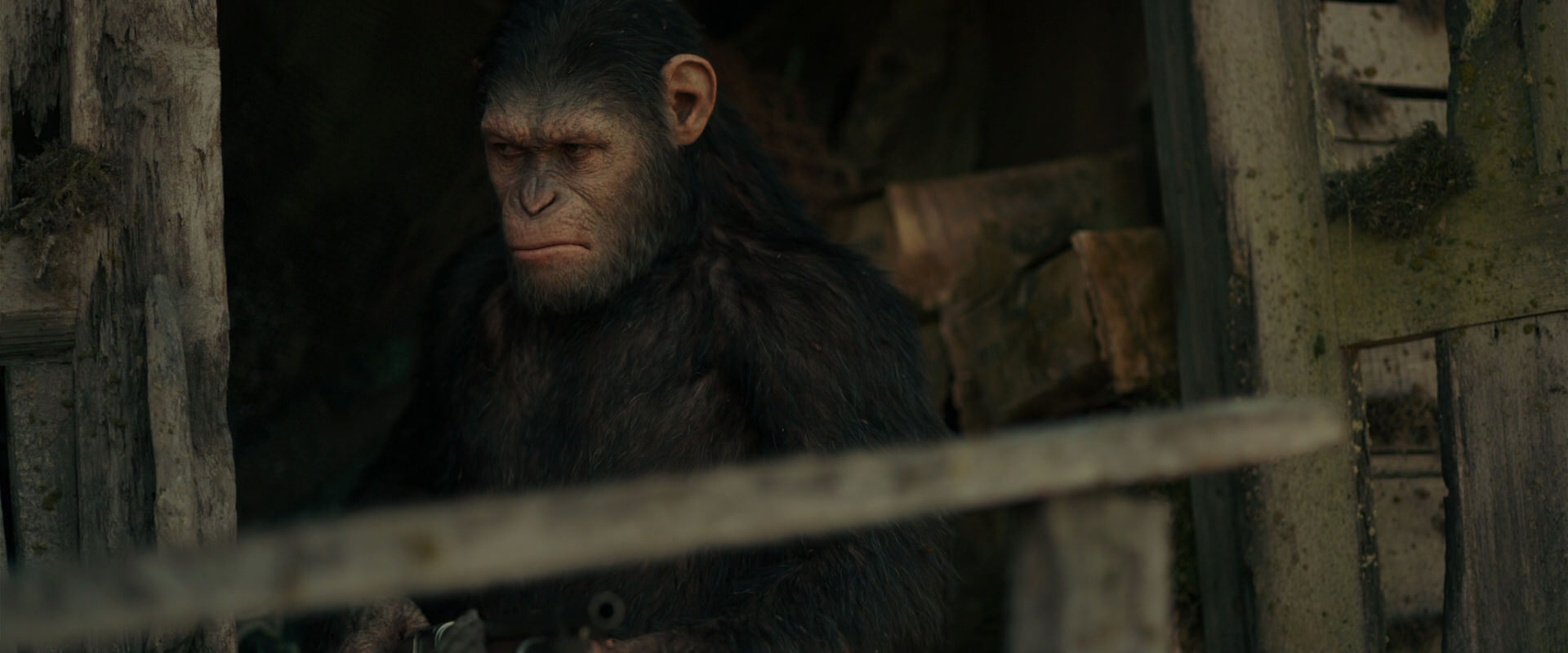 War for the Planet of the Apes (2017) movie still 3337