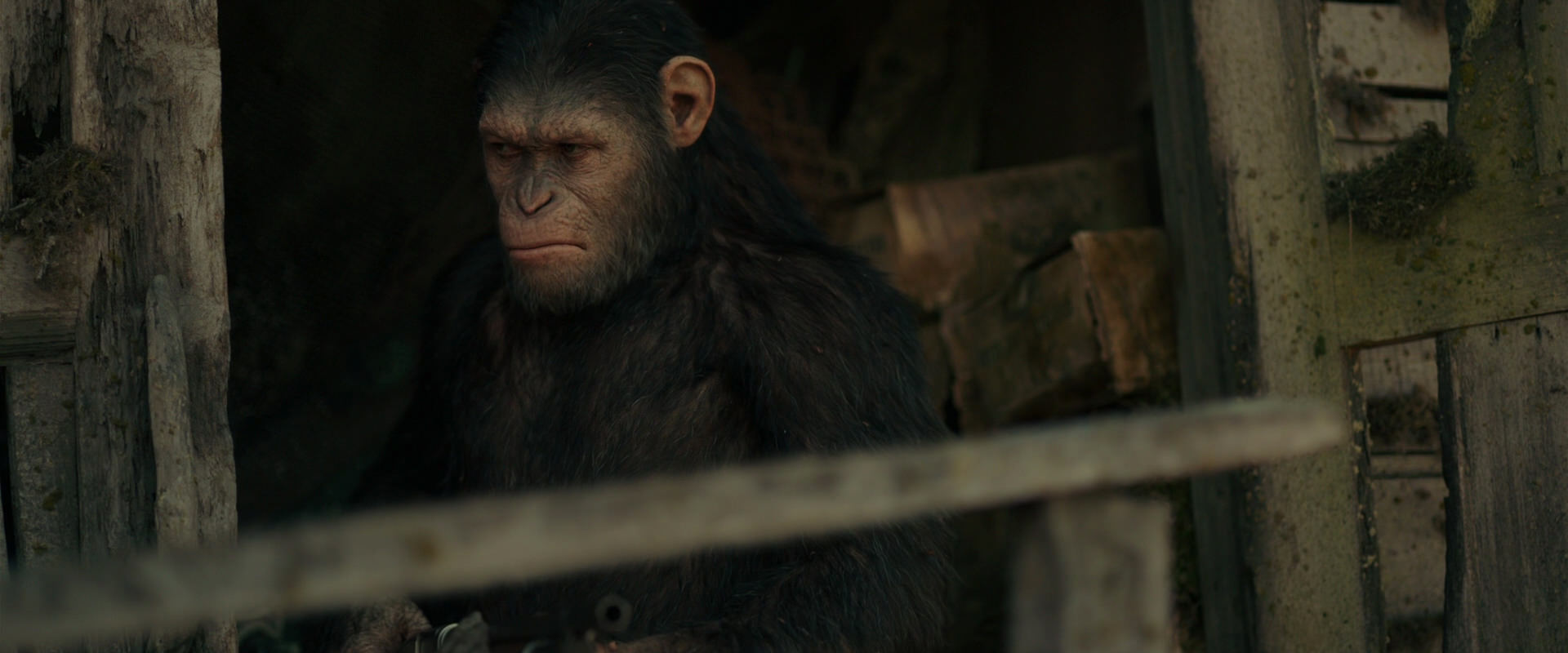 War for the Planet of the Apes (2017) HD screenshot 3338