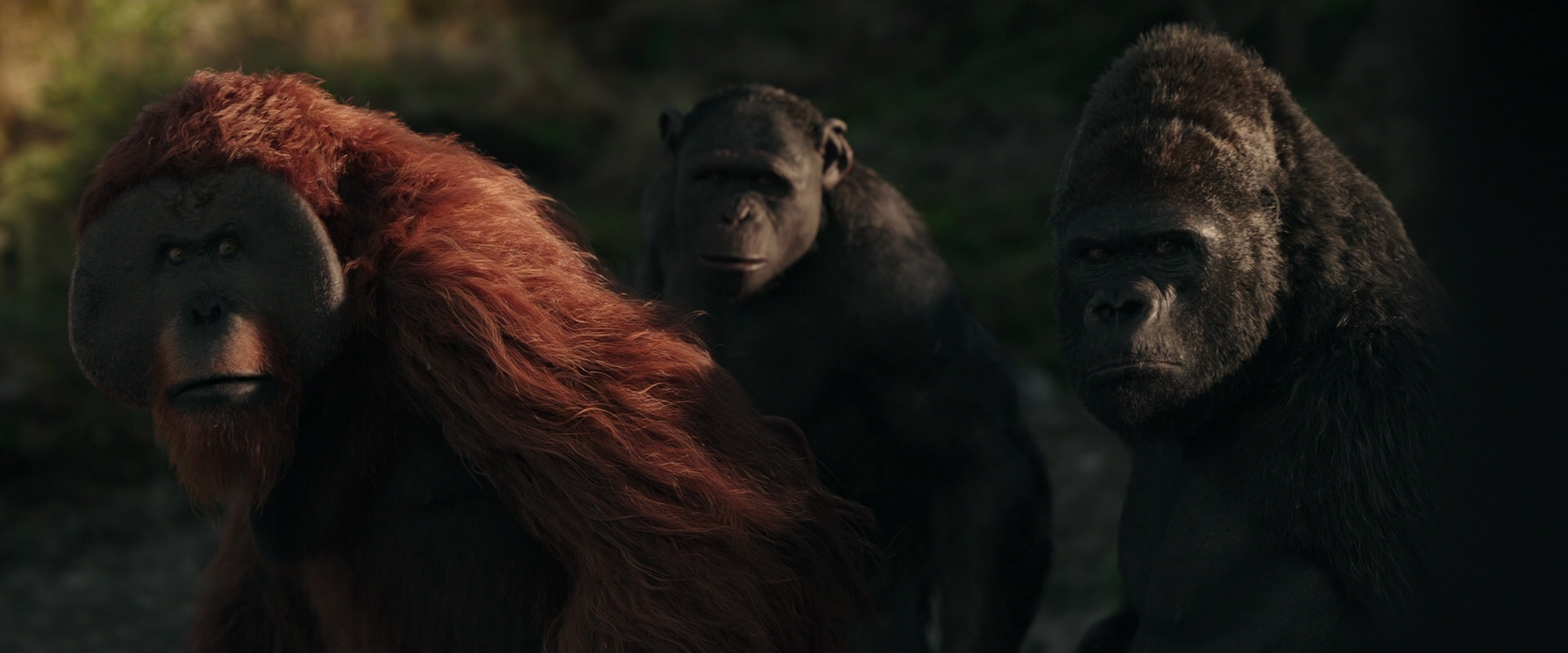 War for the Planet of the Apes (2017) screencap 3339