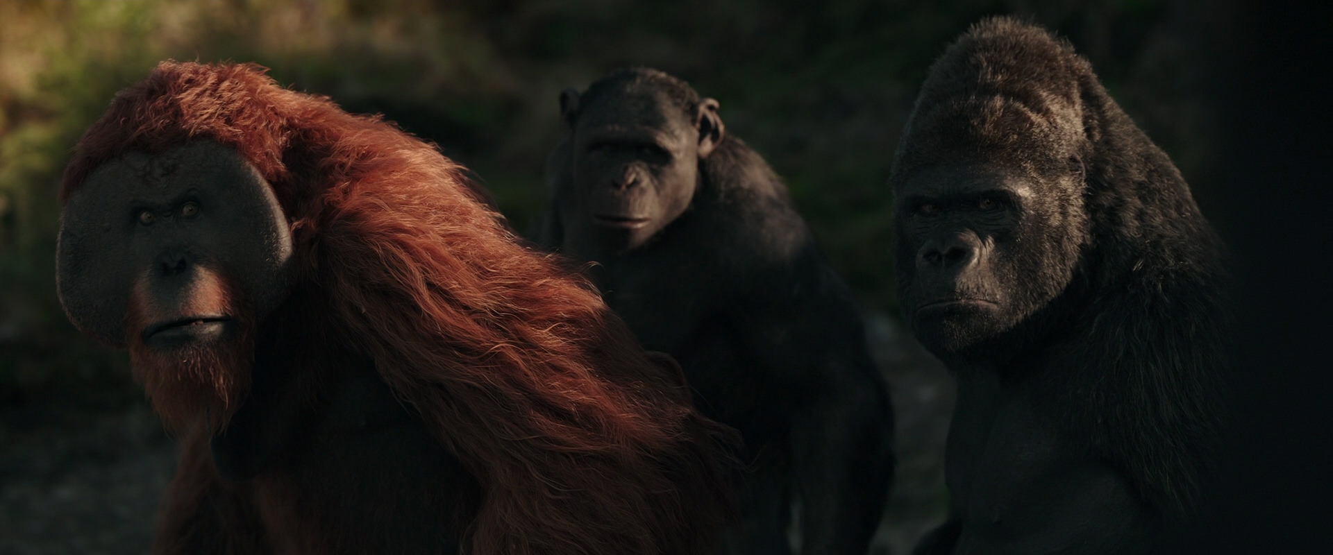 War for the Planet of the Apes (2017) movie still 3340
