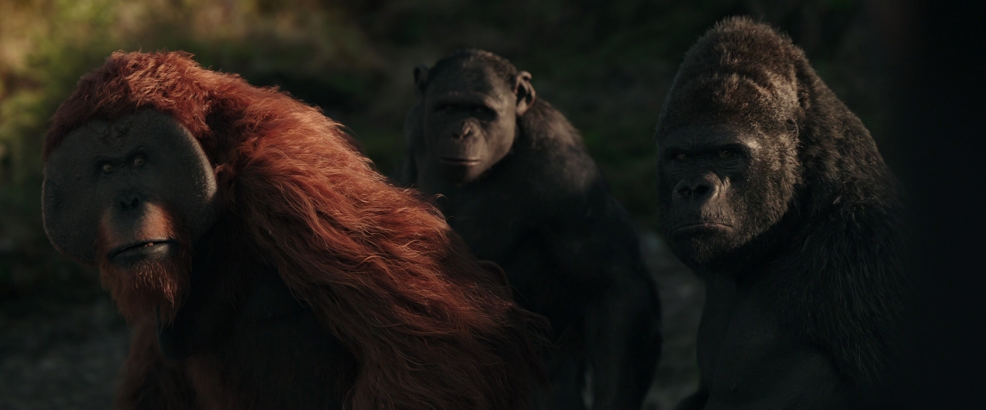 War for the Planet of the Apes (2017) HD screenshot 3341