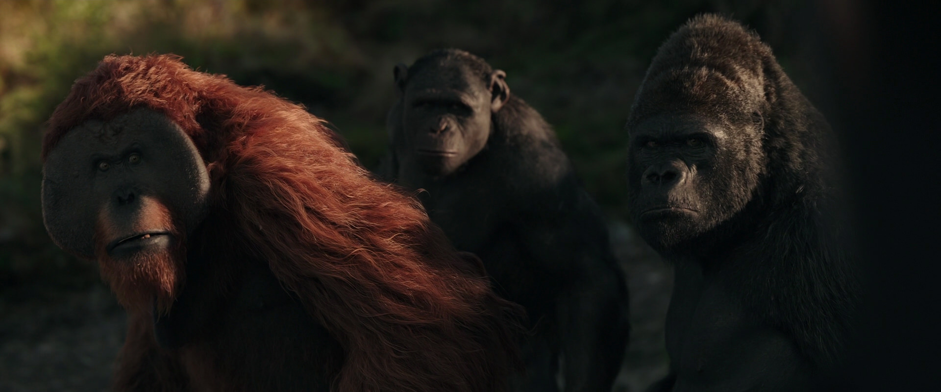 War for the Planet of the Apes (2017) screencap 3342
