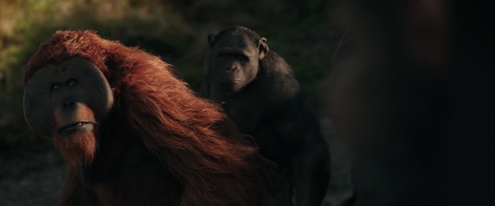 War for the Planet of the Apes (2017) movie still 3343
