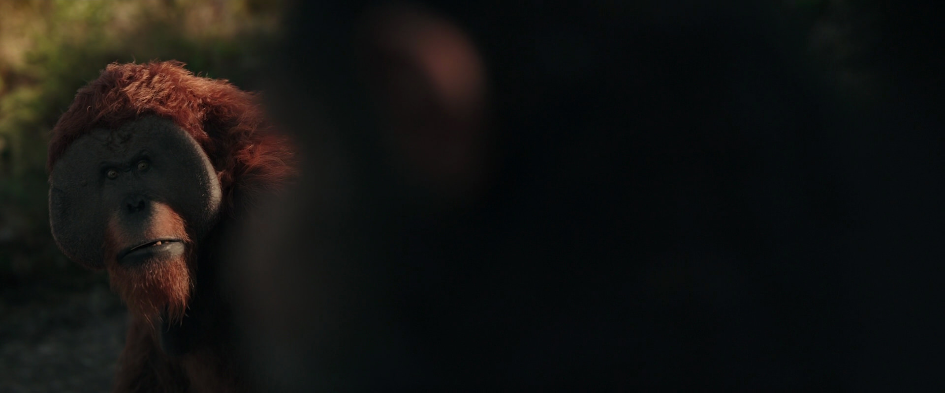 War for the Planet of the Apes (2017) HD screenshot 3344