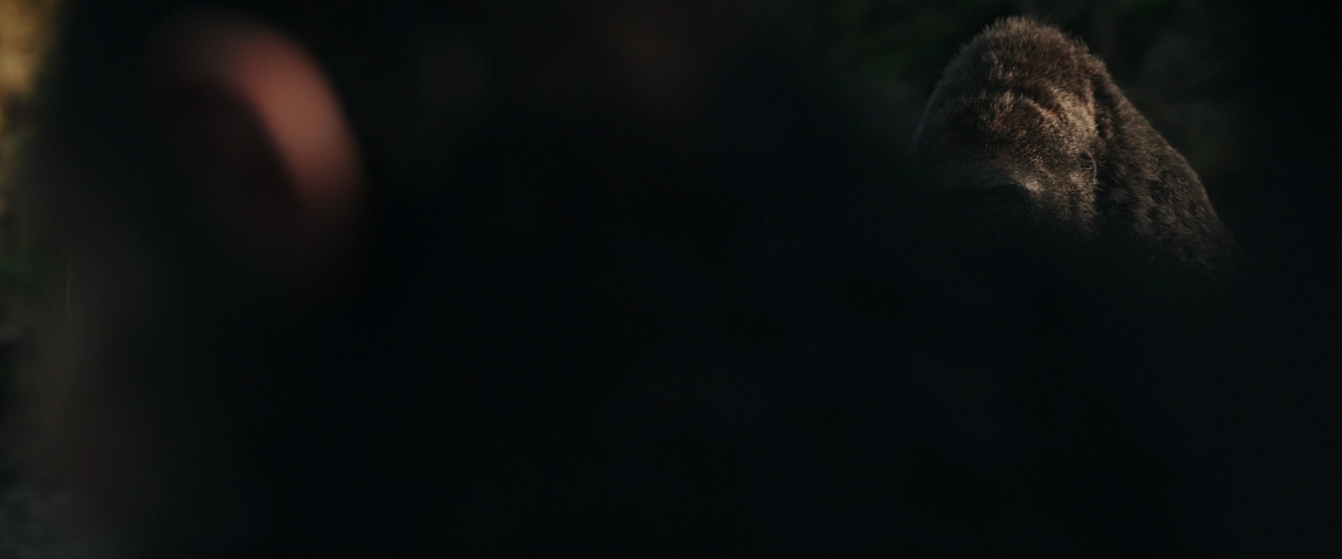 War for the Planet of the Apes (2017) screencap 3345