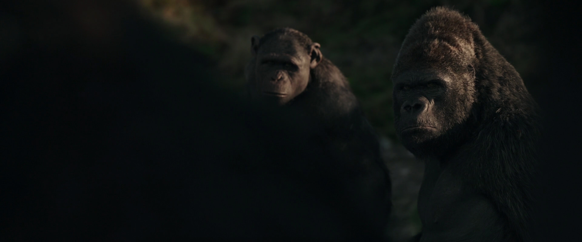 War for the Planet of the Apes (2017) movie still 3346