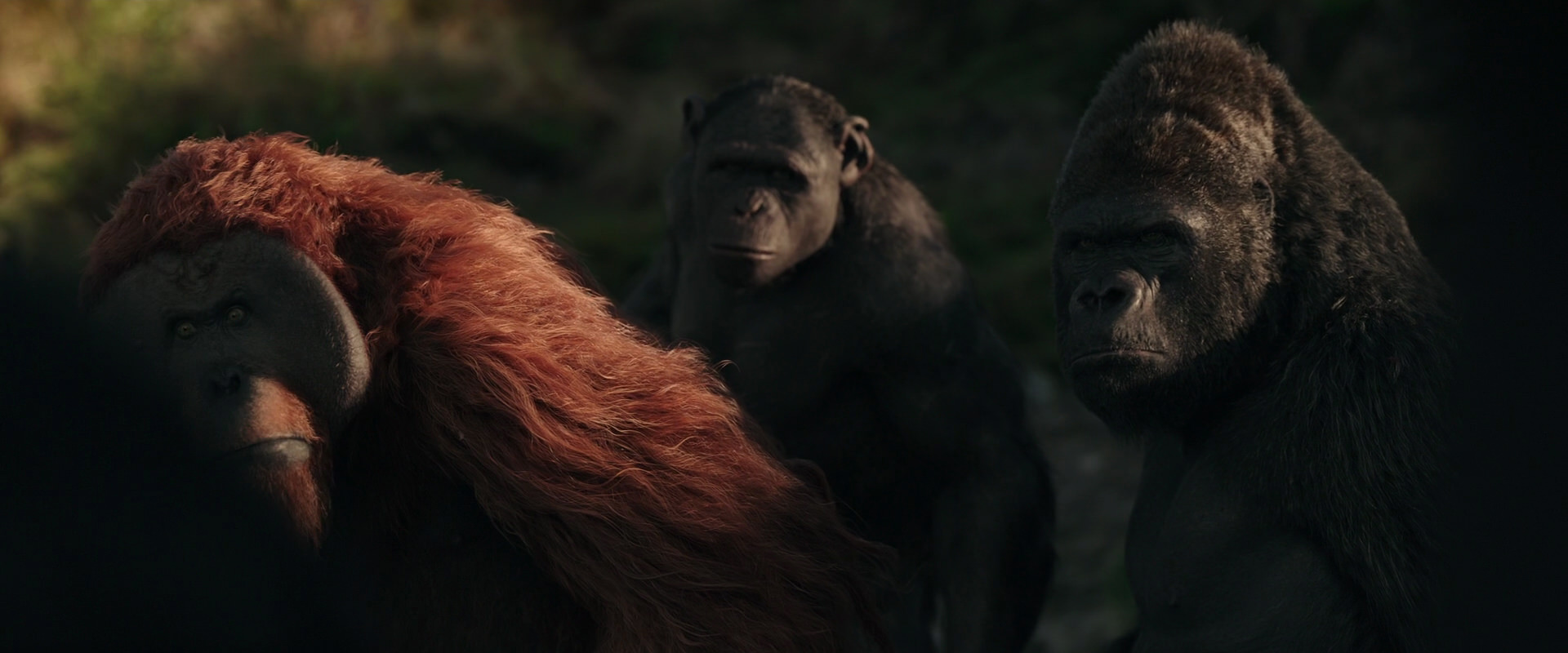 War for the Planet of the Apes (2017) HD screenshot 3347