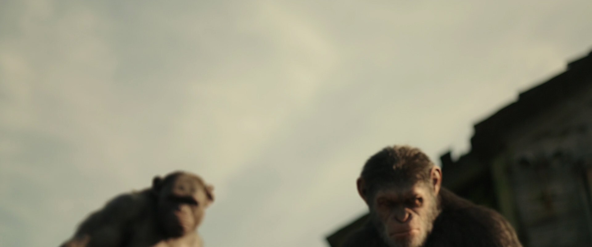 War for the Planet of the Apes (2017) screencap 3351