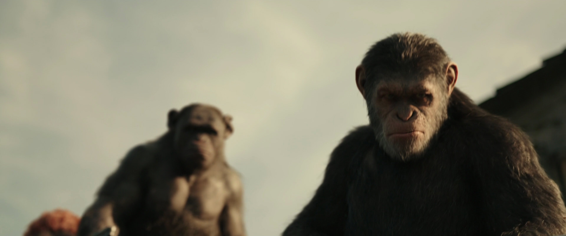 War for the Planet of the Apes (2017) HD screenshot 3353