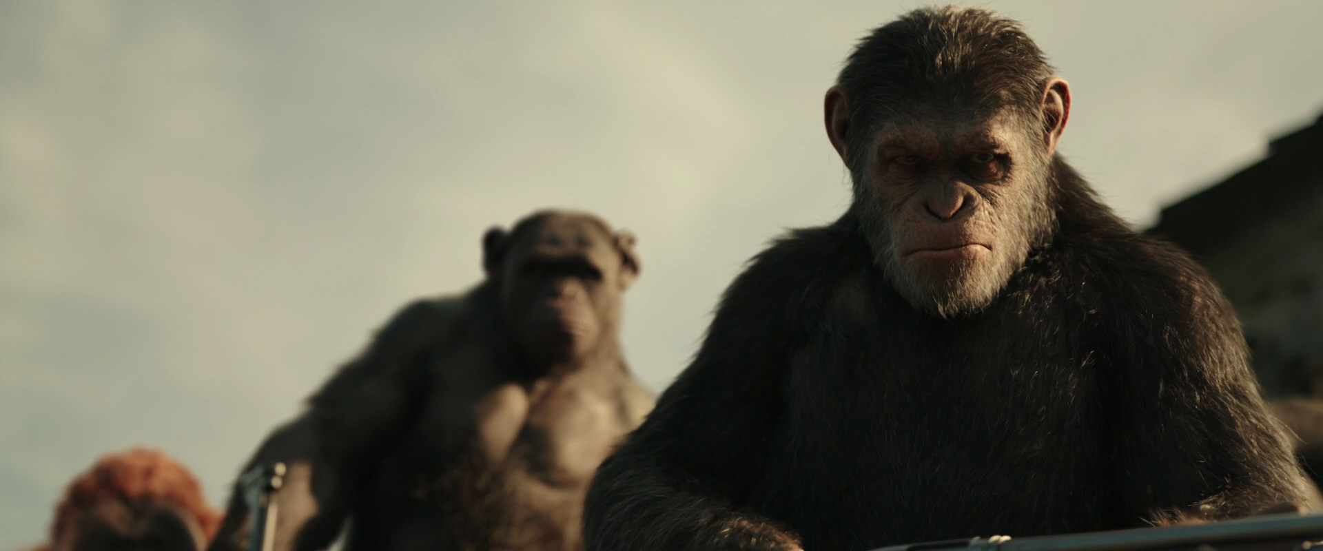 War for the Planet of the Apes (2017) screencap 3354