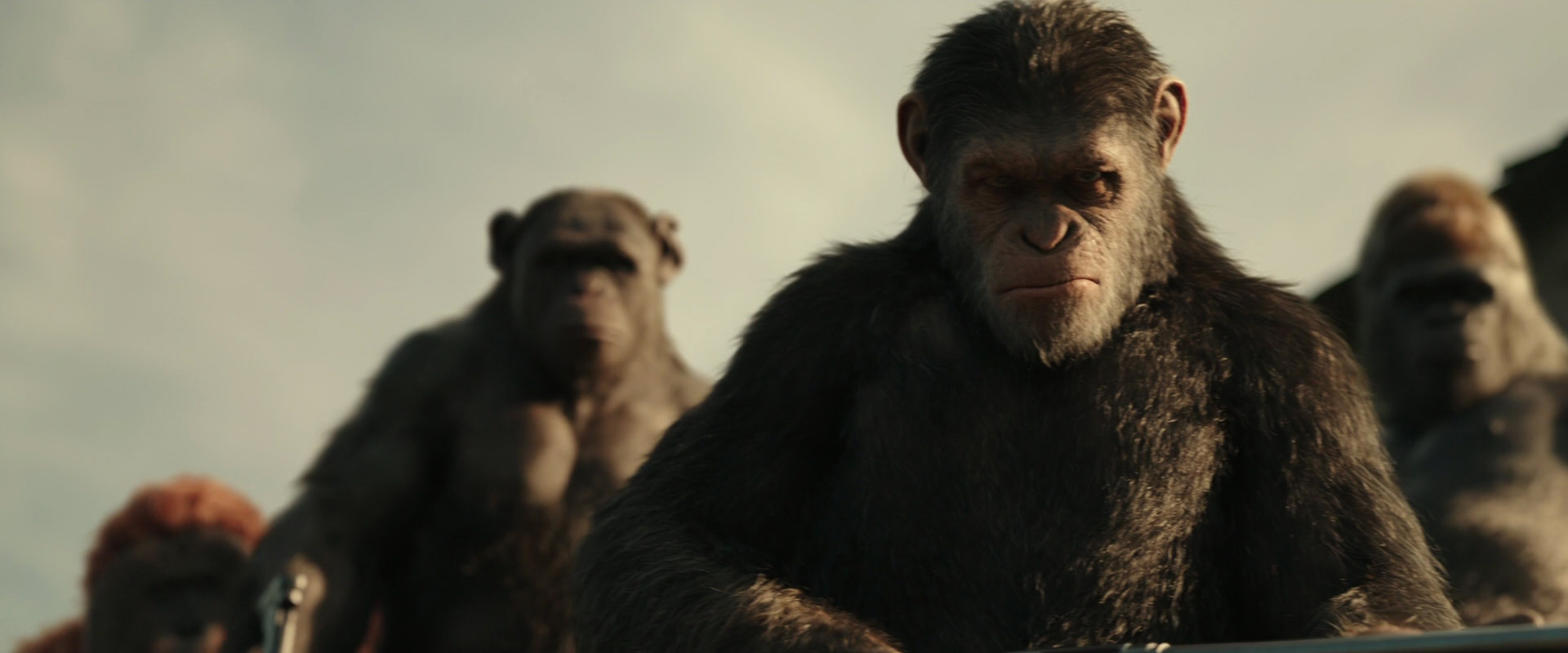 War for the Planet of the Apes (2017) movie still 3355