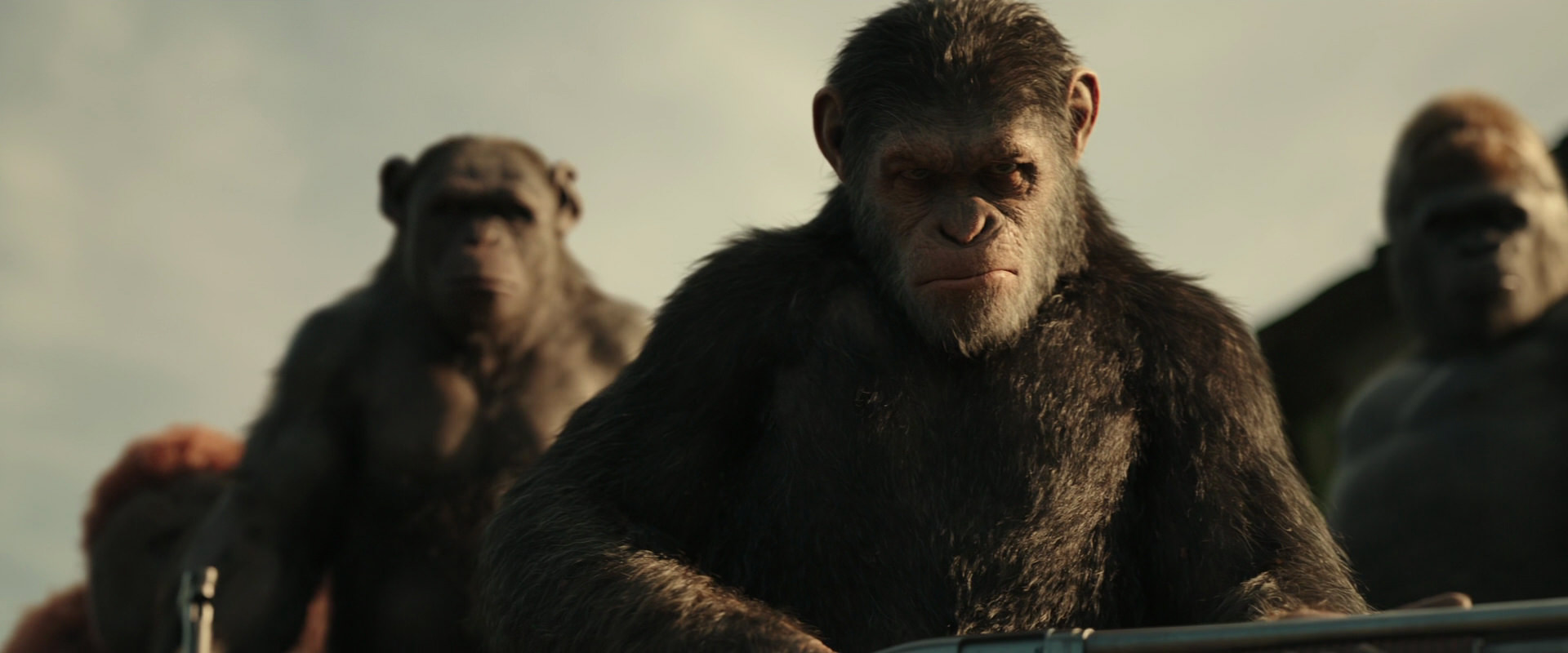War for the Planet of the Apes (2017) HD screenshot 3356