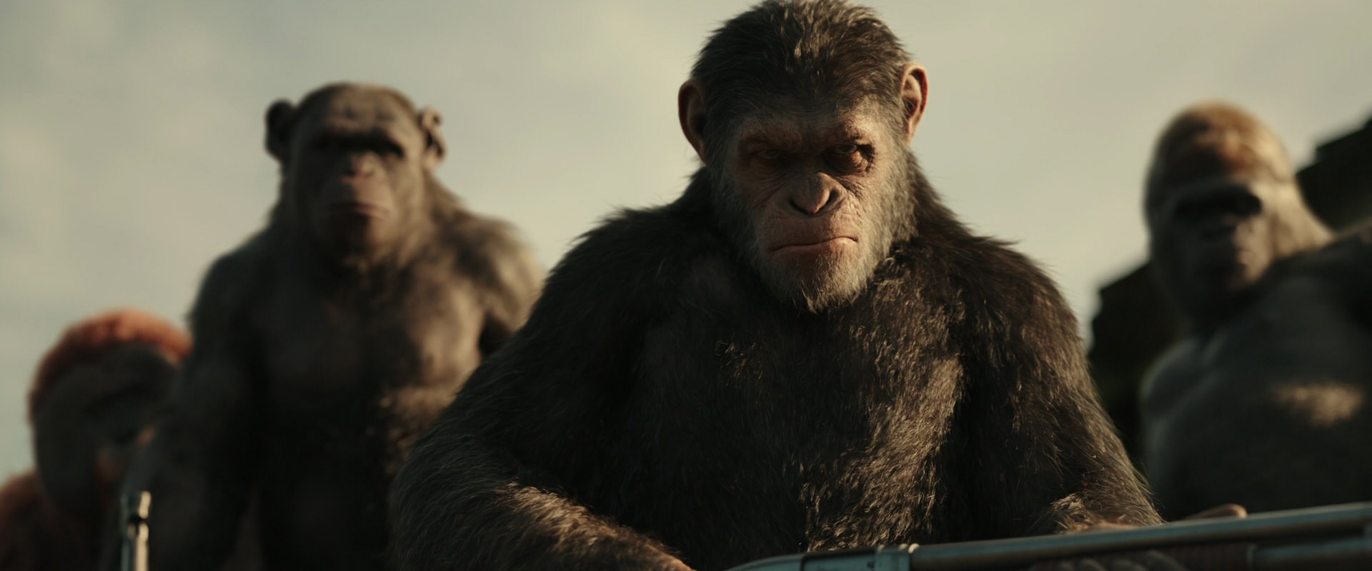 War for the Planet of the Apes (2017) screencap 3357